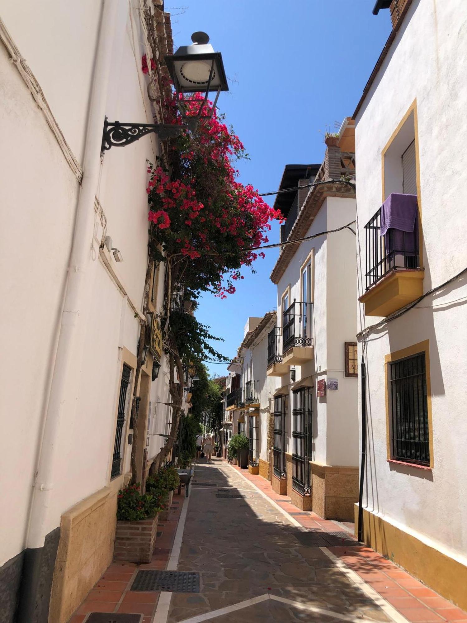 Estudio Mariluz マルベーリャ エクステリア 写真